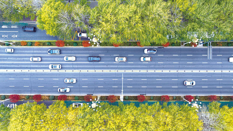 冬意初萌 秋色未央